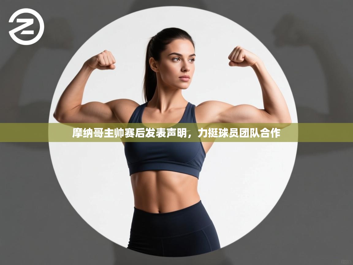 摩纳哥主帅赛后发表声明,力挺球员团队合作 第2张